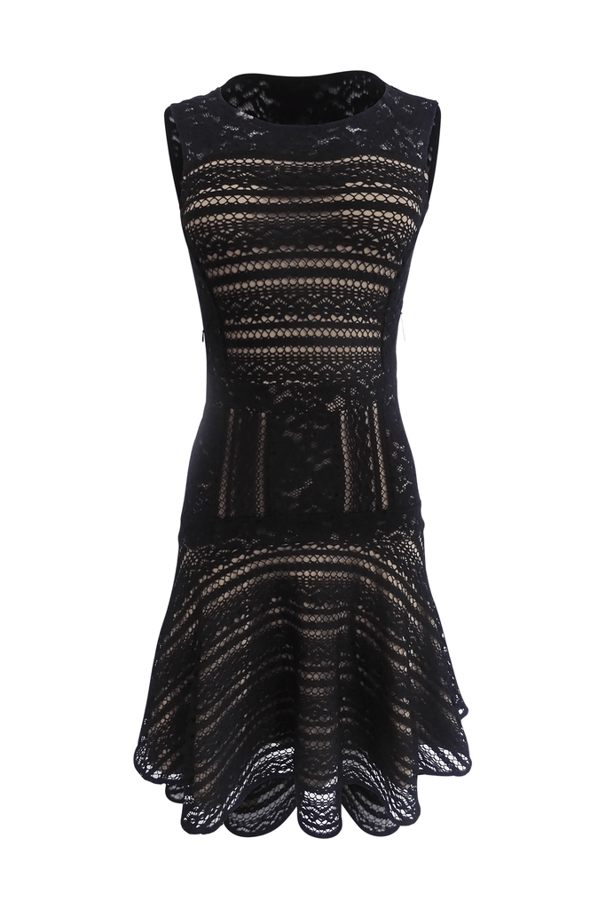 Black Sleeveless Laced Dress With Khaki Lining - Bcbgmaxazria