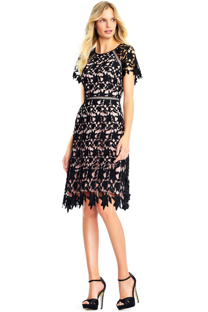 Ava Lace Fit and Flare Dress - Adrianna Papell