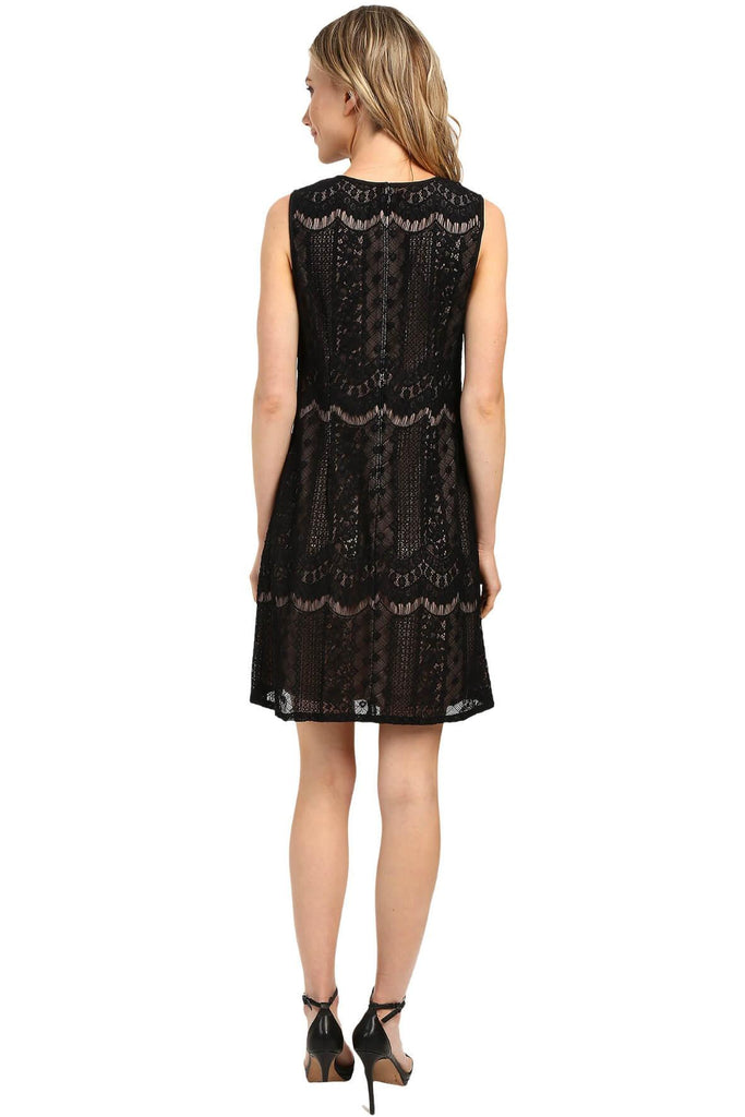 Striped Lace Shift Dress - Adrianna Papell