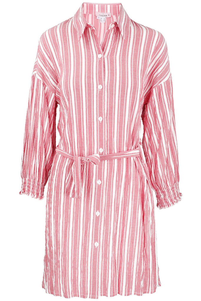 Pink Stripe Dress - Charm