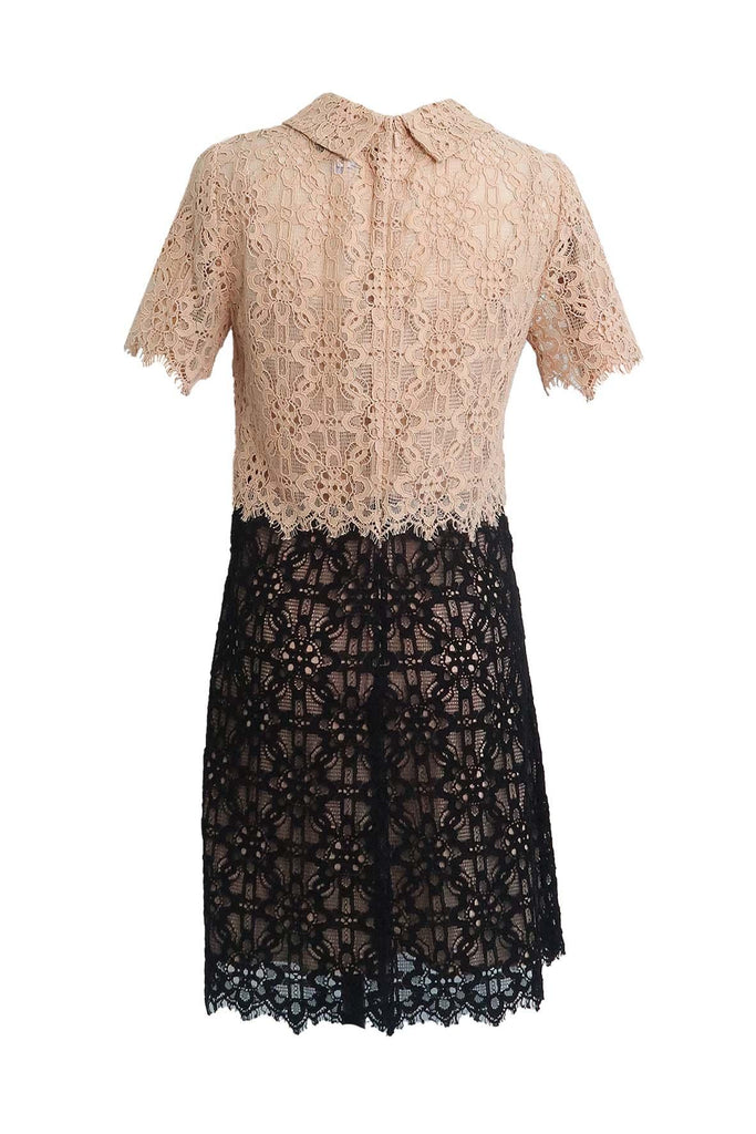 Light Brown & Black Lace With Beige Lining - Dkny