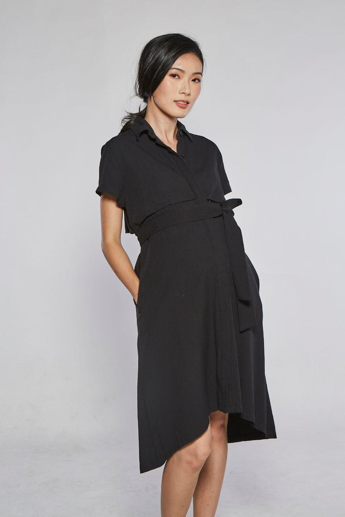 Blackett Collard Shirt Dress - Stillen Maternity